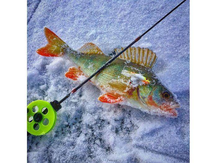 Зимняя рыбалка на окуня на балансир или как добиться большого улова