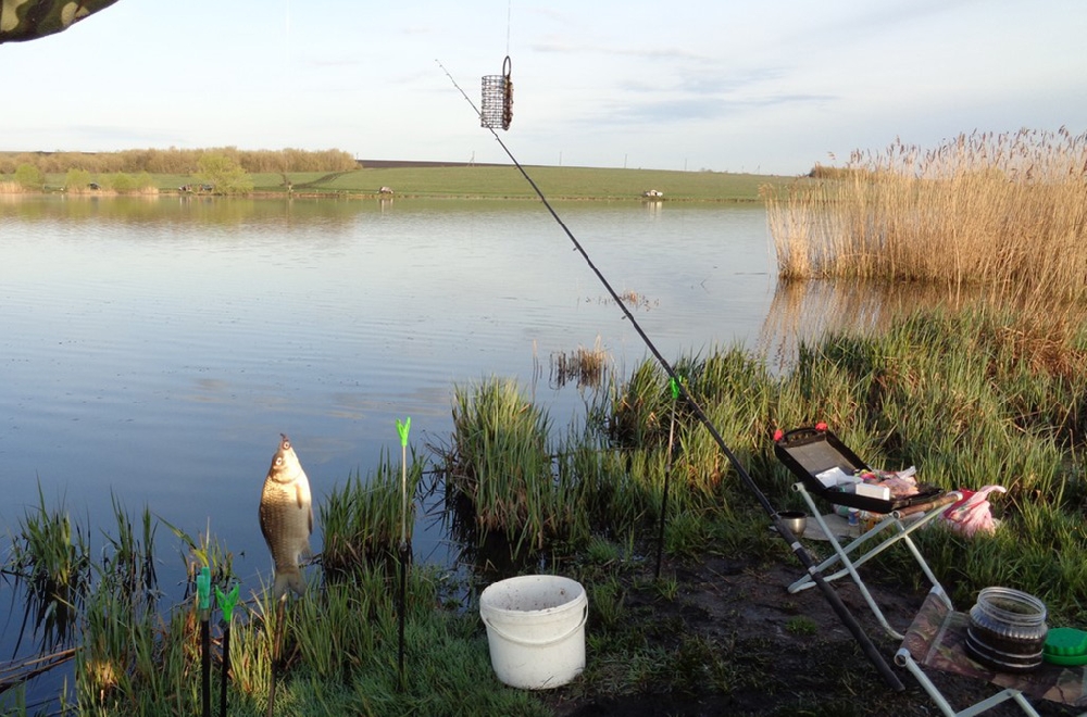 Рыбалка в саратовской области: лучшие места на карте топ-10