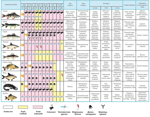 Когда можно рыбачить весной 2024. Время активной рыбалки весной.