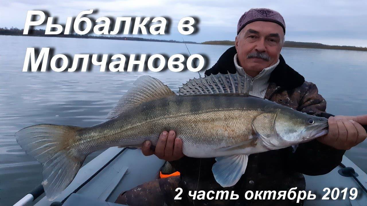 Озеро сердце в тюменской области: описание, фотографии, как добраться