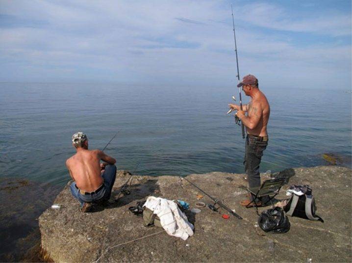 Рыбалка в сочи на море или озере с берега и на лодке