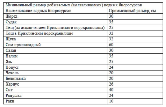 Минимально разрешенные к вылову размеры рыбы в азово-черноморском рыбохозяйственном бассейне, сохрани в закладки