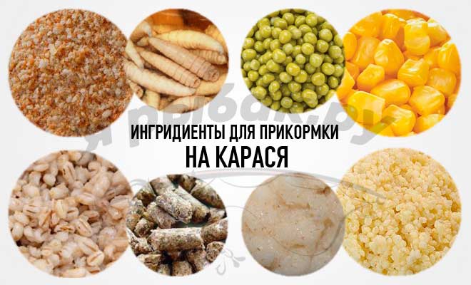 На что ловить карася летом: наживки и прикормки, техника и оснастка