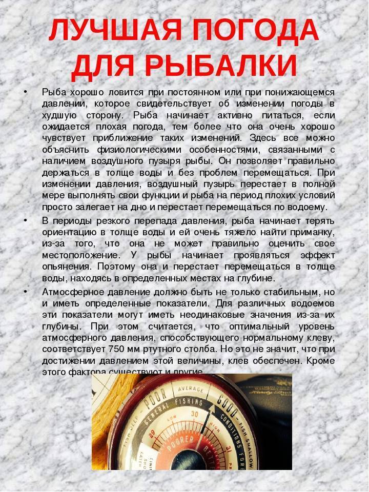 Лучшая погода для ловли зимой