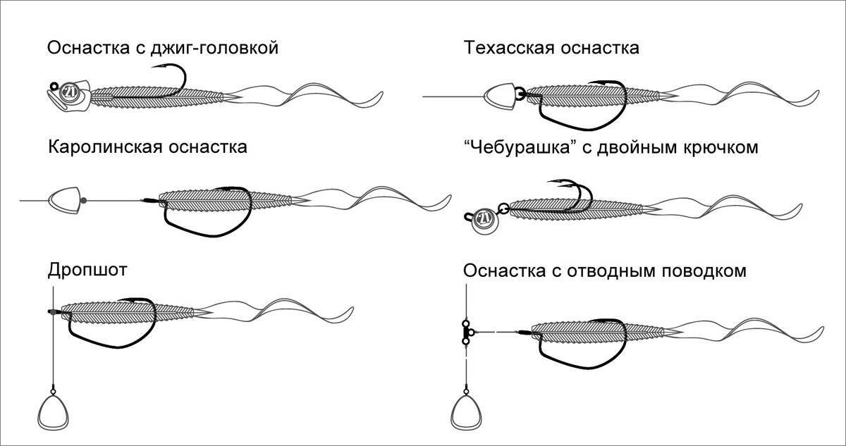 Ловля судака: способы, наживки, сезонные особенности