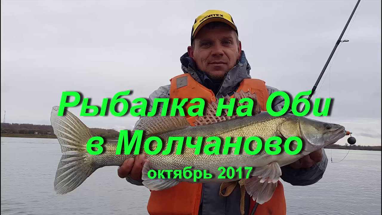 Рыбалка в молчановском районе: лучшие места и секреты удачного улова