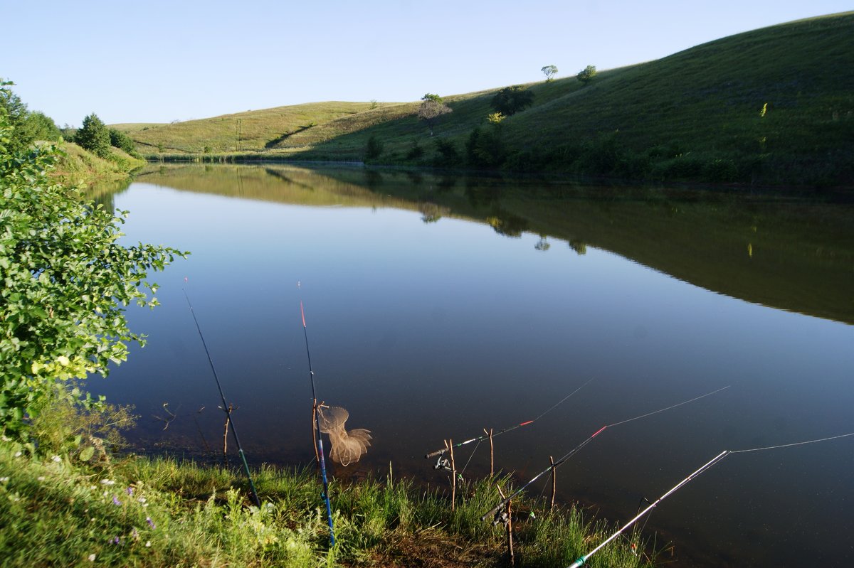 Летняя и зимняя рыбалка в саратовской области: платные и бесплатные места