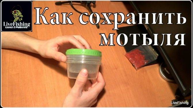 Как хранить мотыля. несколько проверенных способов :: syl.ru