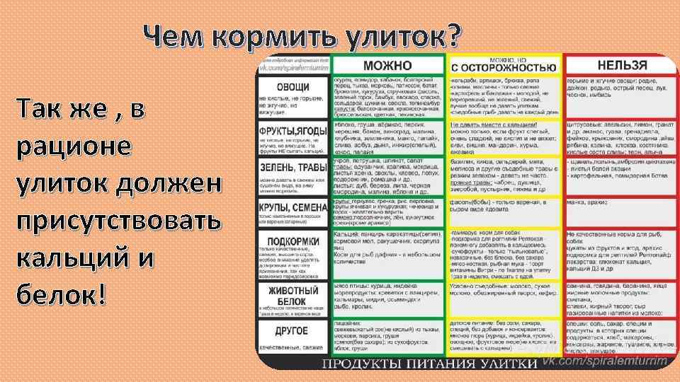 Что едят улитки в домашних условиях и естественной среде: подбираем питание для сухопутных и пресноводных улиток