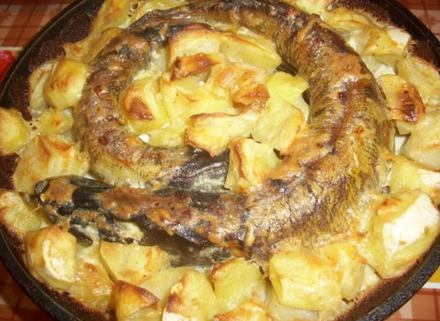 Как приготовить щуку на сковороде, в духовке или на мангале - простые и вкусные блюда с видео