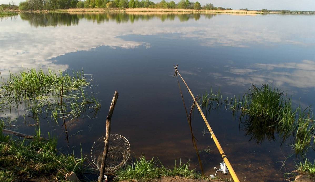 Рыбалка в ростовской области на реках, озерах, платных базах