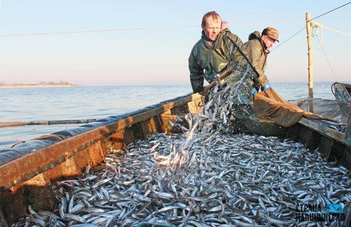 Рыбалка на финском заливе