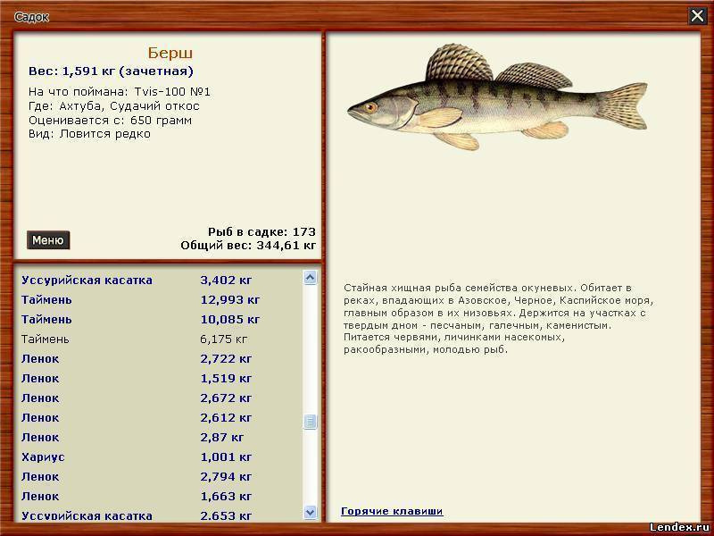 Видовой состав рыб. Рыба в Волге список.