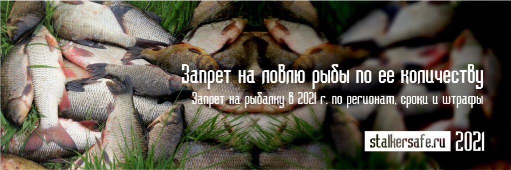 Можно ловить рыбу в конце апреля. Можно ловить рыбу в конце апреля