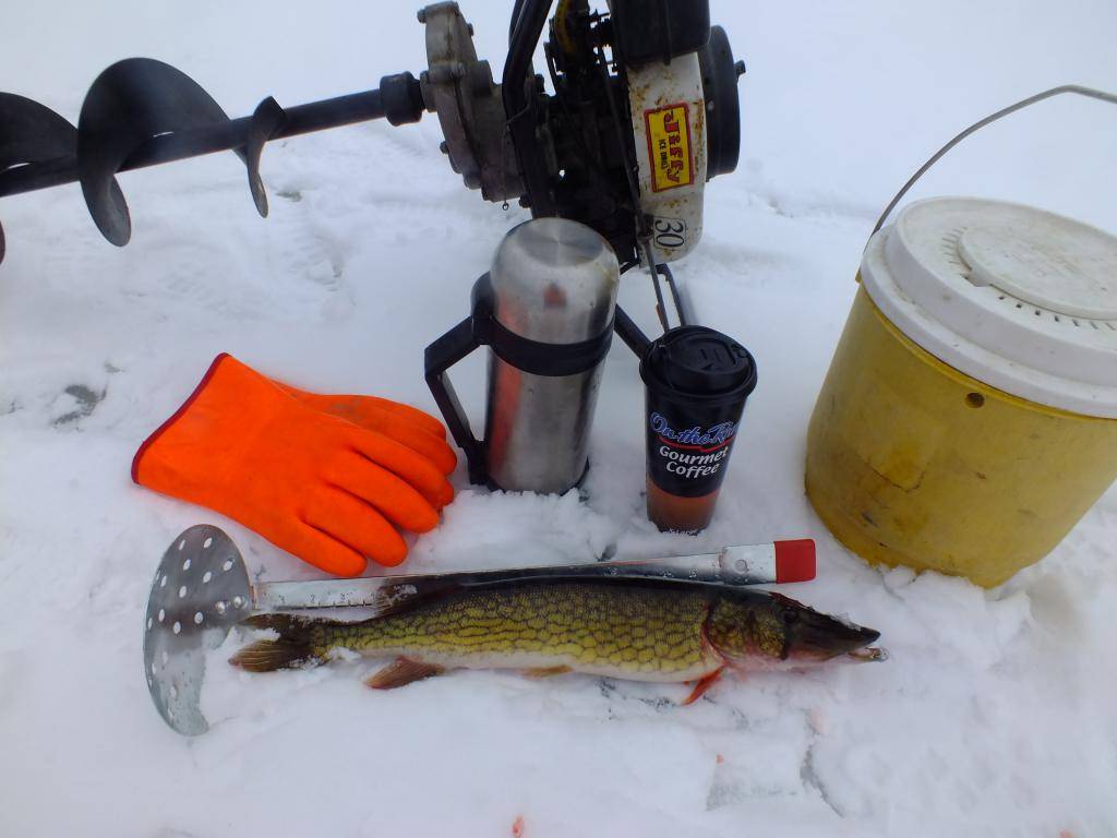 Зимняя рыбалка: топ методов ловли и где искать трофей