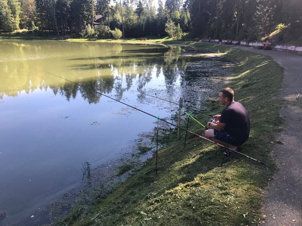 Рыбалка во владимирской области и во владимире - fishingwiki