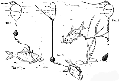 Как ловить щуку на живца: лучшие места для рыбалки и варианты снастей