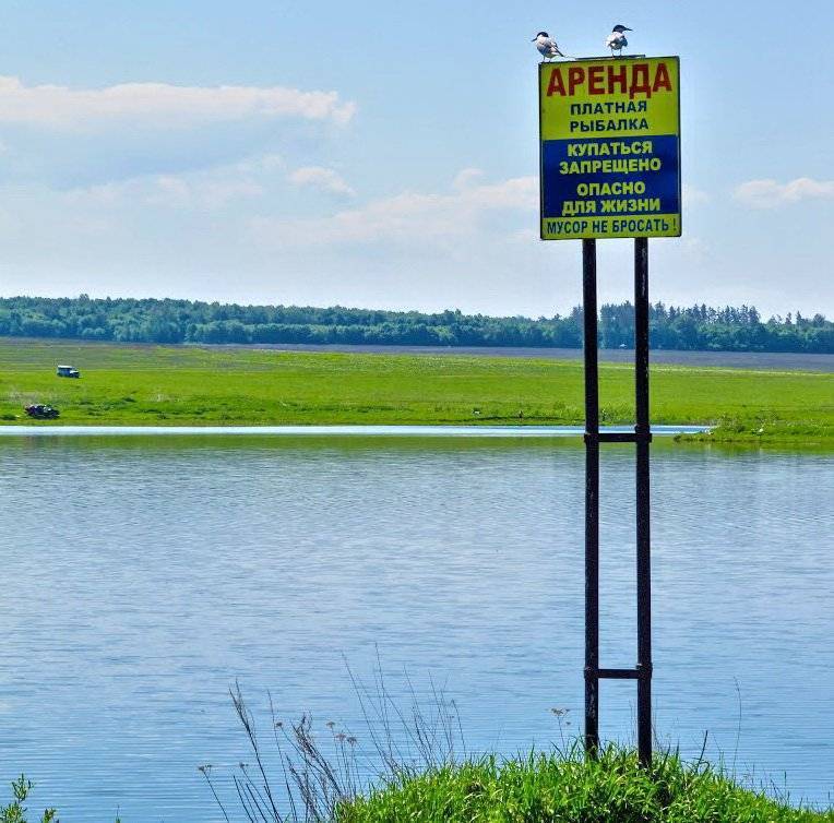 Рыбалка в новгородской области и великом новгороде - fishingwiki