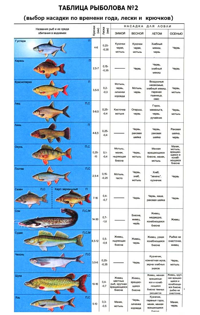 Какую рыбу можно поймать в апреле. Рыбы таблица. Таблица рыбалки. Таблица для рыбаков. Рыбная таблица для рыбаков.