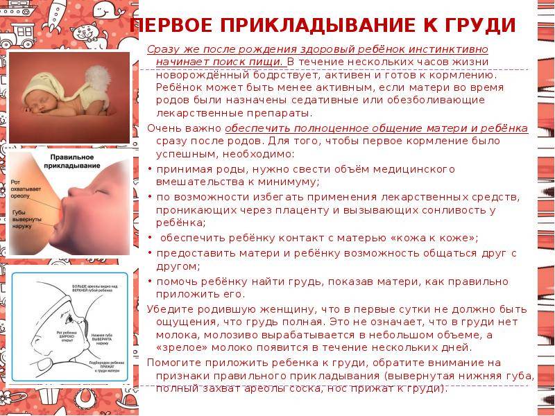Идеальная пища для вашего малыша: налаживаем грудное вскармливание
