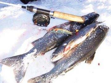 Рыбалка как хобби и вид отдыха — offroadrest.ru