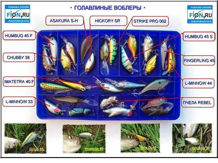 ✅ маркировка воблеров - netfishing24.ru