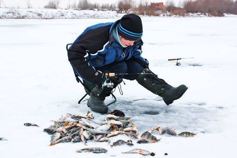 Зимний фидер: оснастка и подготовка монтажа для подледной ловли