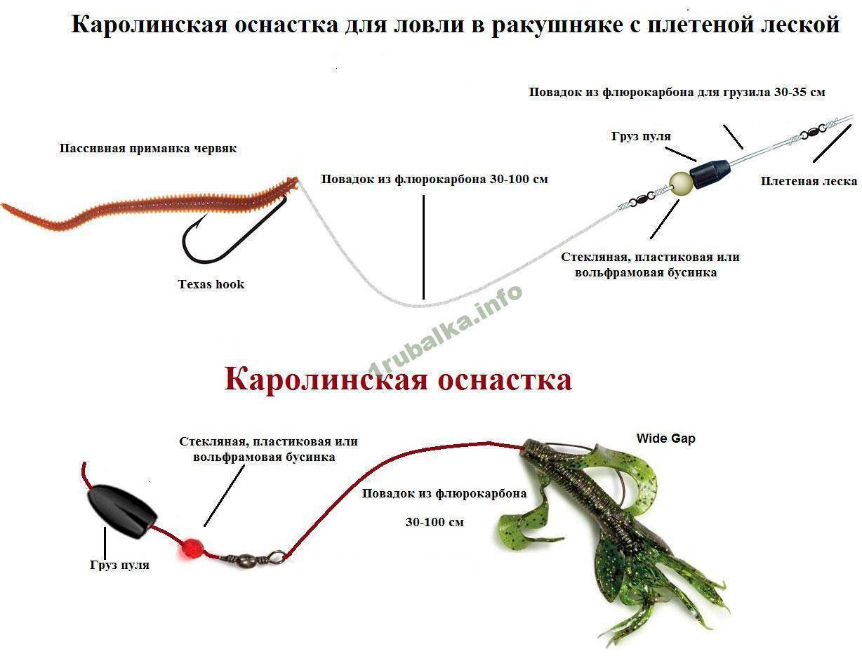Ловля судака на отводной поводок: советы начинающим :: syl.ru