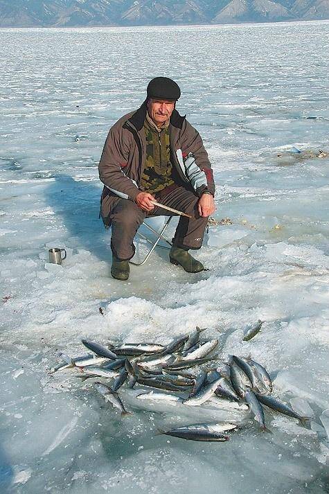 Ловля омуля: летом и зимой на байкале, обзор снастей и приманок