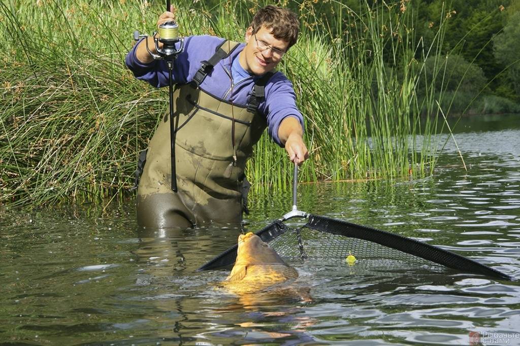 Как правильно подсекать щуку на спиннинг и вываживать рыбу