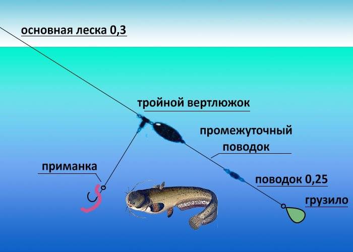 Рыбалка на сома. топ-3 способа | как поймать сома?