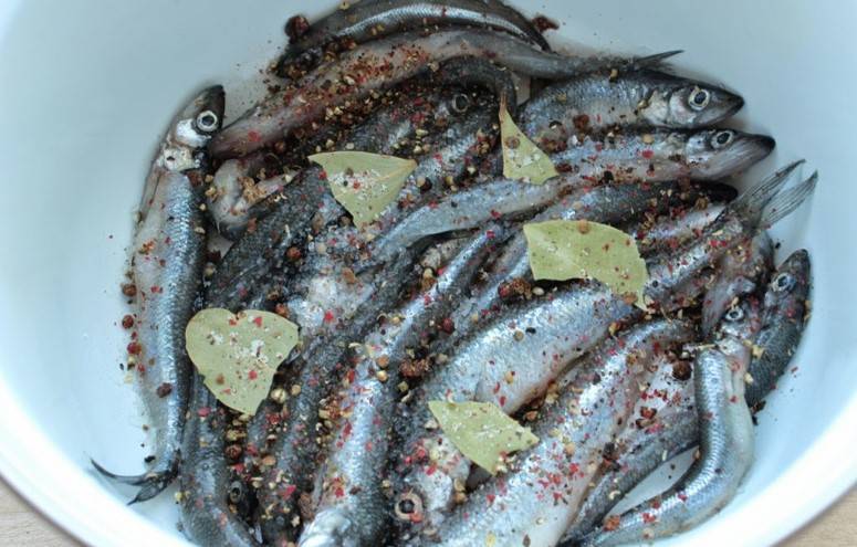 Вяленая корюшка в домашних условиях - лучшие рецепты