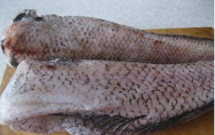 Рыба хоки – польза и состав продукта. нанесёт ли рыба хоки вред здоровью, правила приготовления и употребления хоки