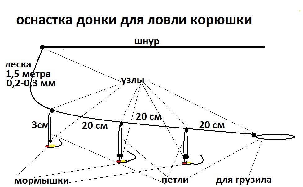 Ловля корюшки зимой - читайте на сatcher.fish