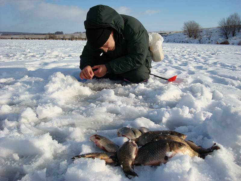Можно ли ловить рыбу в марте. Зимняя рыбалка. Пруд зимой рыбалка. Зимняя рыбалка на карася. Ловля карася зимой.