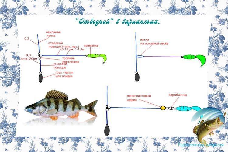 Рыбалка на спиннинг | спиннинг клаб - советы для начинающих рыбаков
окунь на отводной поводок - секреты ловли разнесенной оснастки