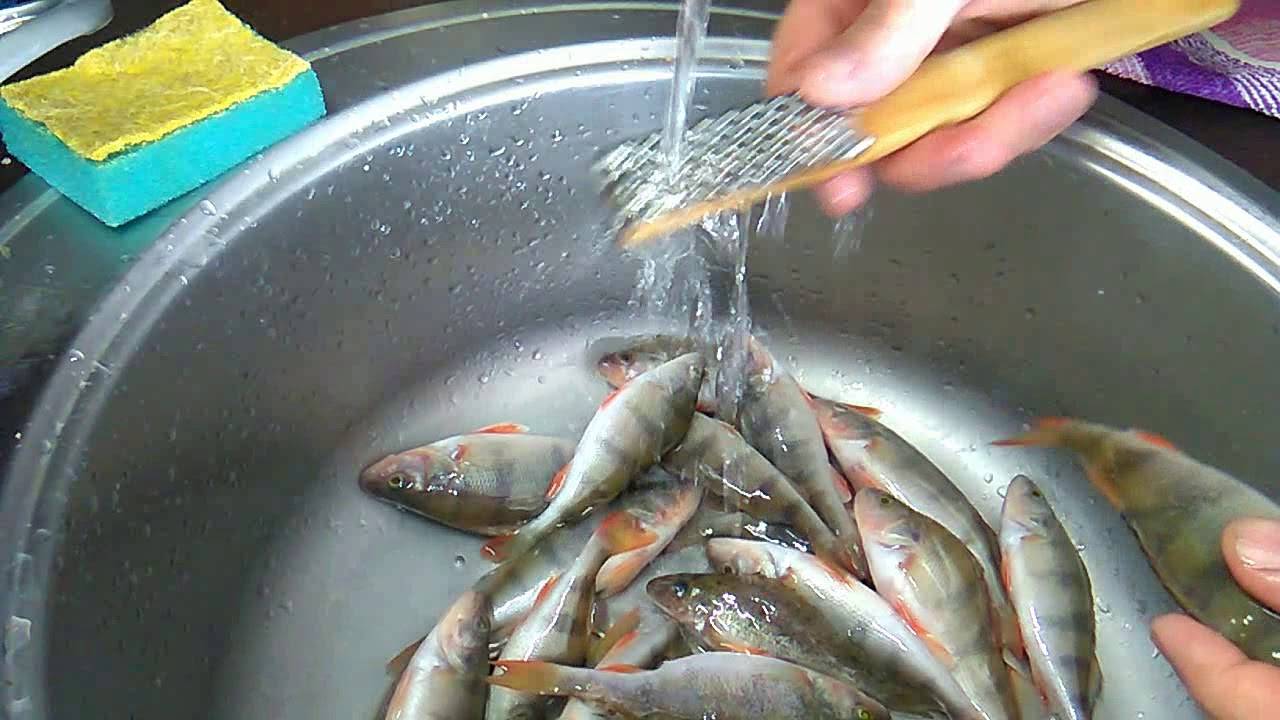 Чистка окуня. Как чистить окуня. Чистка мелкой рыбы от чешуи. Как почистить чешую окуня речного быстро