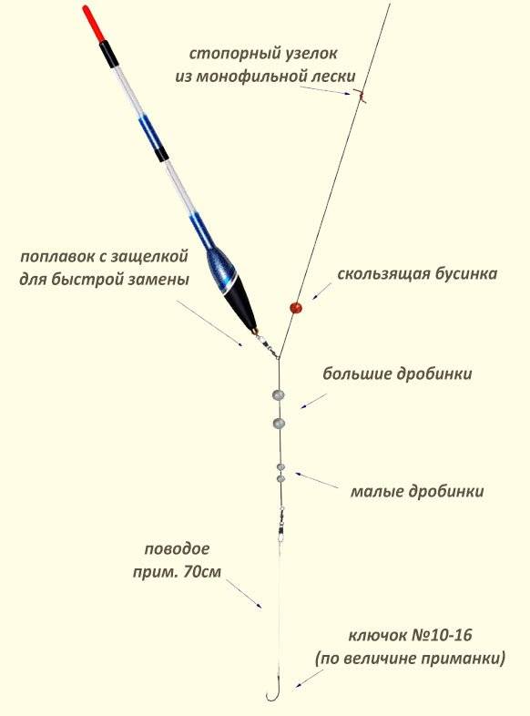 Ловля плотвы весной на поплавок - снасти, тактика и тонкости - на рыбалке!