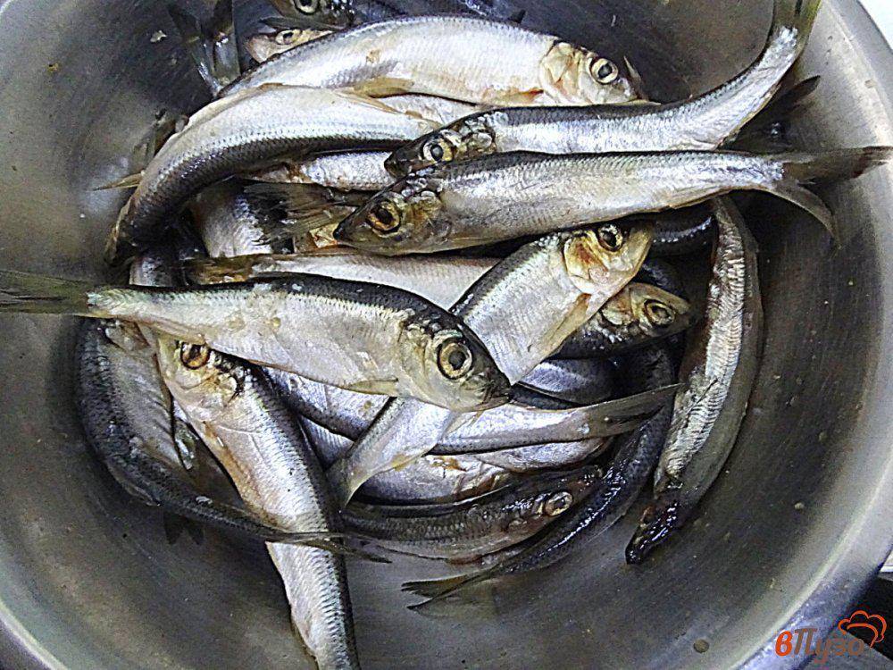 Способы ловли рыбы – особенности, разновидности снастей