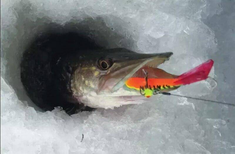 Ловля щуки зимою видео. Щука на балансир Rapala. Рыбалка на балансиры рапала зимой. Балансиры для зимней рыбалки на щуку. Зимние балансиры на щуку.