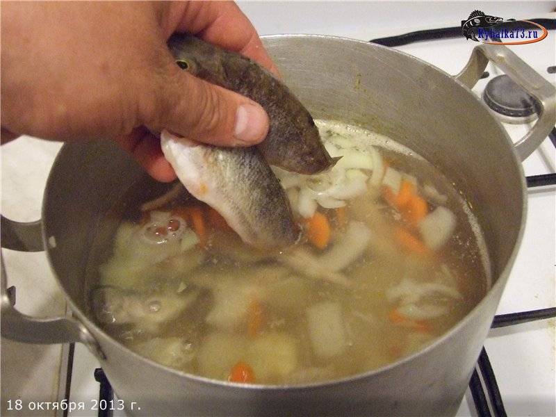 Как приготовить уху из щучьей головы?