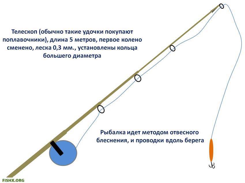 Пескарь — описание и образ жизни, где и чем ловить