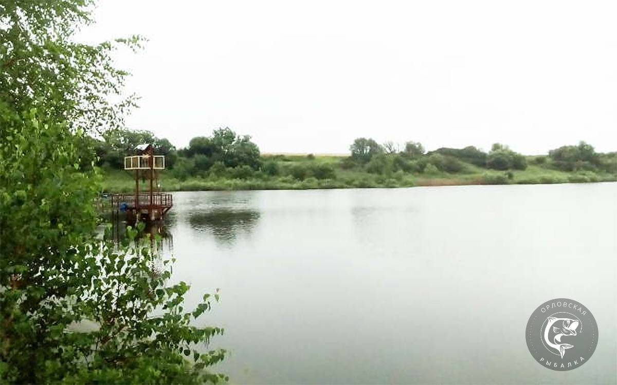 ✅ карповский пруд (орловская область) - fishingopt.su