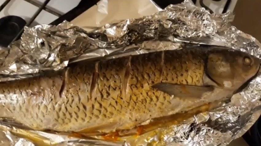 Малосольная селедка в домашних условиях (очень вкусные рецепты)