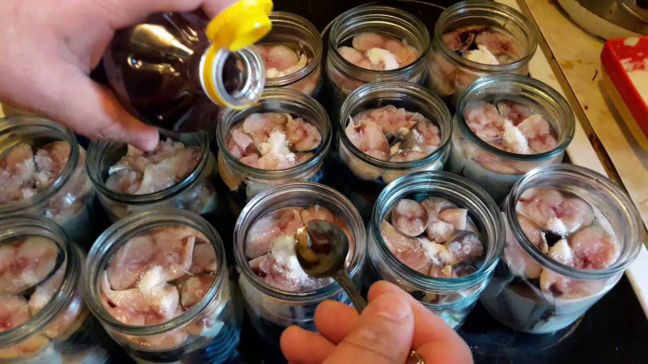 Как сделать консервы из щуки на зиму в домашних условиях: рецепты в духовке, в м