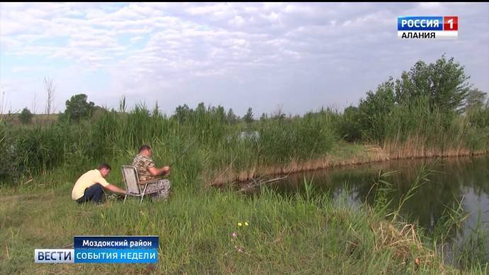 15 лучших рыболовных мест в ростовской области. бесплатные и платные | животный мир