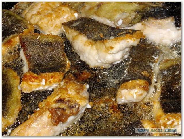 ✅ как пожарить налима вкусно на сковороде - receptii.ru