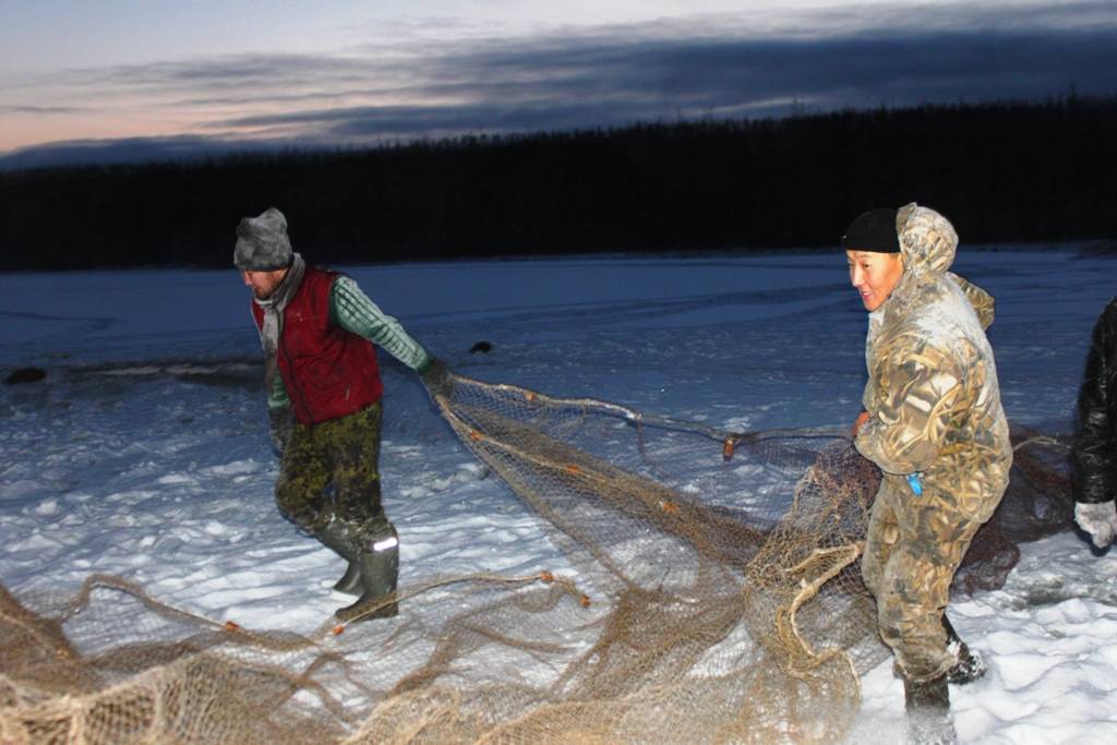 Видео ловли рыбы зимой. Якутская мунха. Рыбалка в Якутии мунха. Рыболовство в Сибири. Зимняя рыбалка.