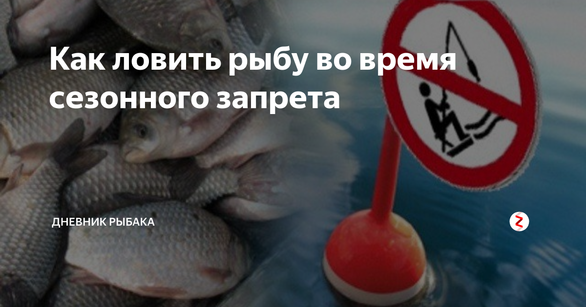 Запрет рыболовства. Запрет на ловлю рыбы. Нерест запрет. Нерестовый период. Можно ли рыбачить в запрет