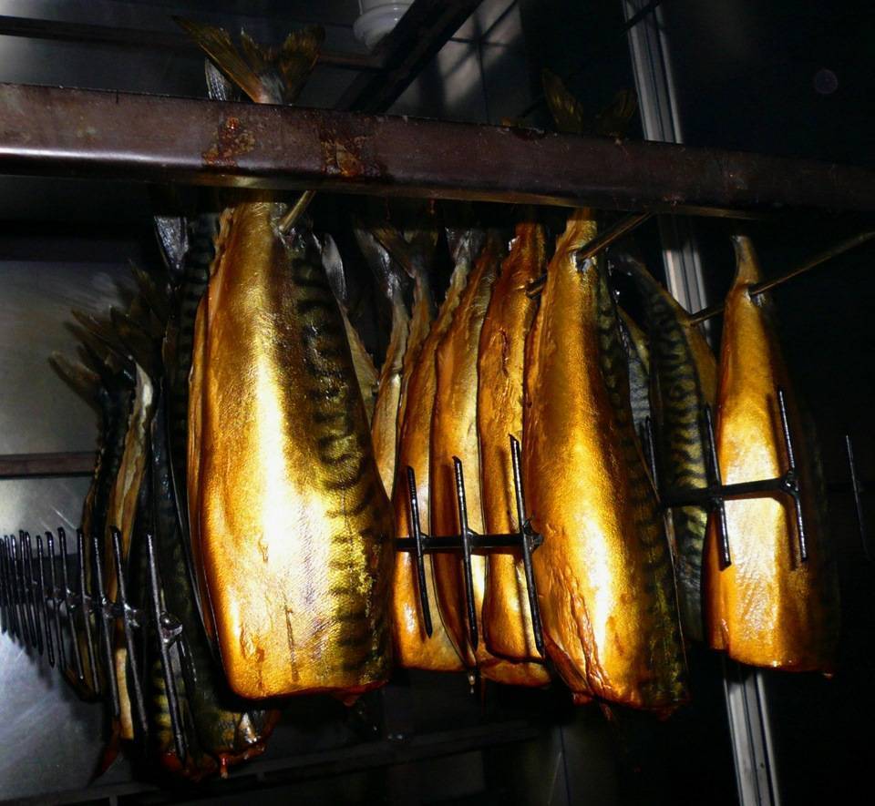 Способы горячего копчения рыбы, блог профи-коптильщика